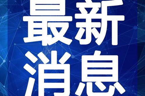 徐州二姐爆料最新消息视频,揭秘事件背后真相